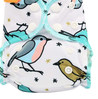Baby Clothe Diapers